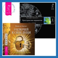 9 ключей к силе души. От заблуждений – к истине + Трансерфинг реальности. Ступень I: Пространство вариантов