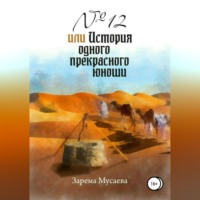 № 12, или История одного прекрасного юноши