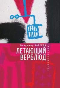 Летающий верблюд