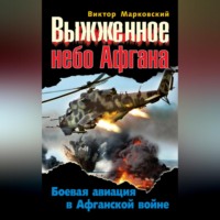 Выжженное небо Афгана. Боевая авиация в Афганской войне