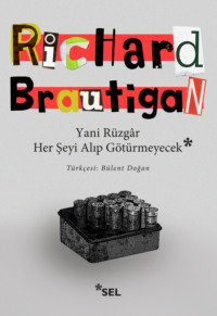 Yani Rüzgâr Her Şeyi Alıp Götürmeyecek