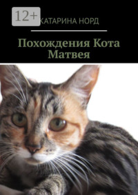 Похождения Кота Матвея