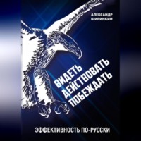 Видеть. Действовать. Побеждать. Издание второе. Эффективность по-русски