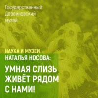 Умная слизь живет рядом с нами!