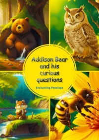 Addison Bear and his curious questions