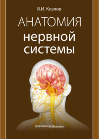 Анатомия нервной системы. Учебное пособие