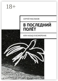 В последний полёт. Или Назад в Безмерение