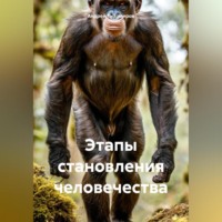 Этапы становления человечества