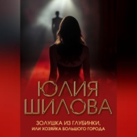 Золушка из глубинки, или Хозяйка большого города