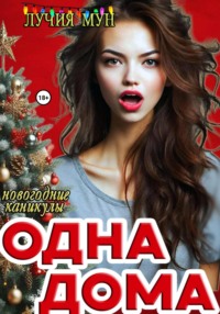 Одна дома. Новогодние каникулы