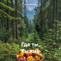 Где ты, Рыжий