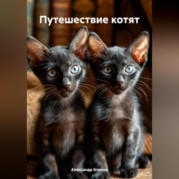 Путешествие котят.