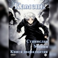 Камень. Книга двенадцатая