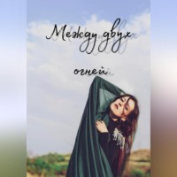 Между двух огней