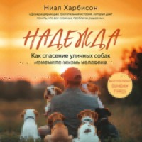Надежда. Как спасение уличных собак изменило жизнь человека