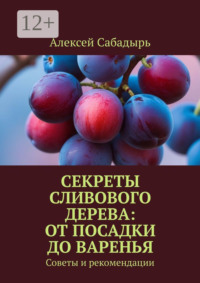 Секреты сливового дерева: от посадки до варенья. Советы и рекомендации