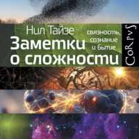 Заметки о сложности. Связность, сознание и бытие