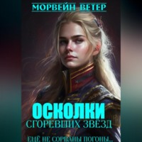 Осколки сгоревших звёзд. Книга 2. Ещё не сорваны погоны…