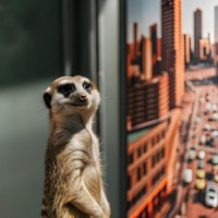 Гипотеза Возможности