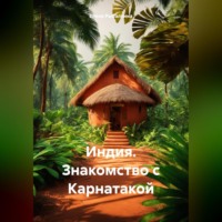 Индия. Знакомство с Карнатакой