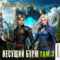Несущий бурю. Том III