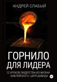 Горнило для лидера. 12 уроков лидерства из жизни библейского царя Давида