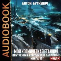 Моя Космическая Станция. Книга 15. Внутренний конфликт в галактике
