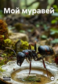 Мой муравей