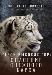 Герои высоких гор: спасение снежного барса