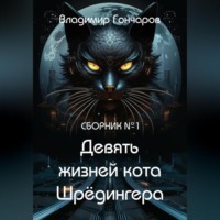 Девять жизней кота Шрёдингера