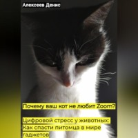 Почему ваш кот не любит Zoom? Цифровой стресс у животных: Как спасти питомца в мире гаджетов.