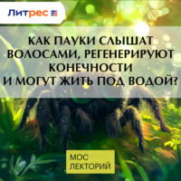 Как пауки слышат волосами, регенерируют конечности и могут жить под водой?