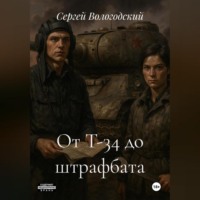 От Т-34 до штрафбата