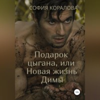 Подарок цыгана, или Новая жизнь Димы