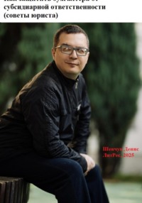 Как защитить бухгалтера от субсидиарной ответственности (советы юриста)