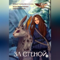 Проект «Миры пяти солнц» За стеной