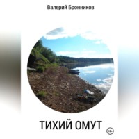 Тихий омут