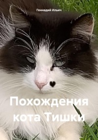 Похождения кота Тишки
