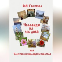 ЧЕЛЛЕНДЖ на 366 ДНЕЙ или Заметки начинающего писателя