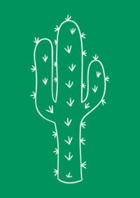 На крыльях огня