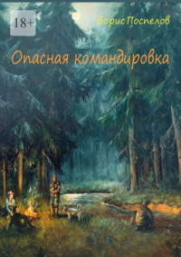 Опасная командировка. Роман