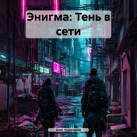 Энигма: Тень в сети