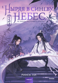 Ныряя в синеву небес, не забудь расправить крылья. Том 2