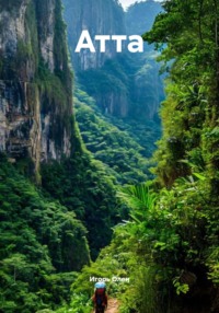 Атта