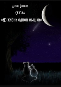 Из жизни одной мышки