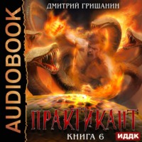 Практикант. Книга 6