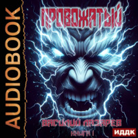 Провожатый. Книга 1