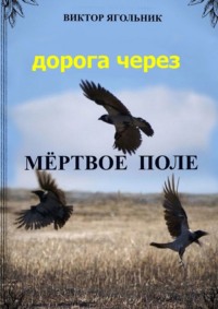 Дорога через мертвое поле. Приключенческий роман. Продолжение книги «Полет в новый мир»