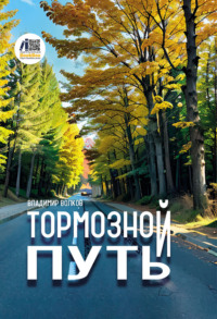 Тормозной путь