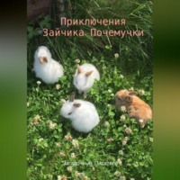 Приключения Зайчика-Почемучки